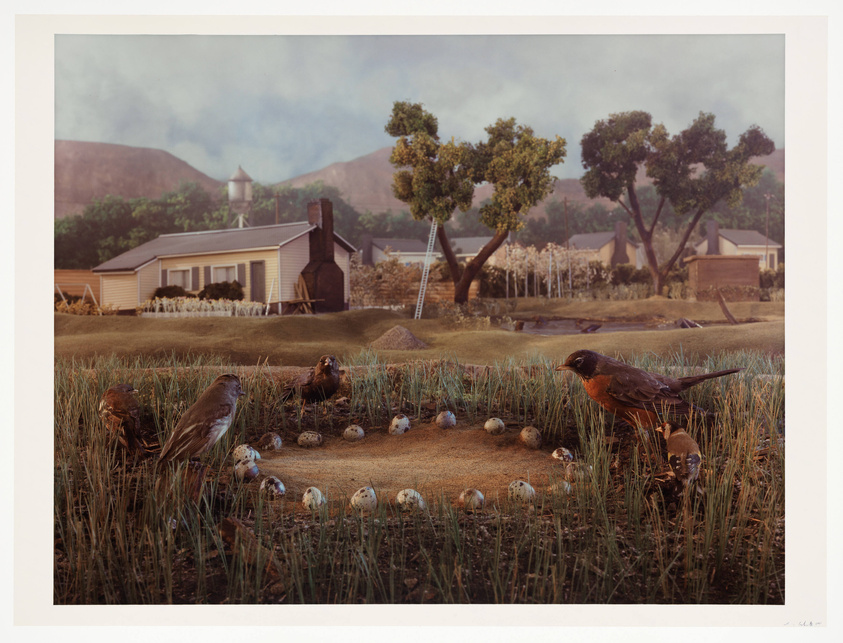 A diorama depicting a scene of birds and quail eggs on the ground with a backdrop of a rural landscape, including a house, barn, and distant hills under a hazy sky.