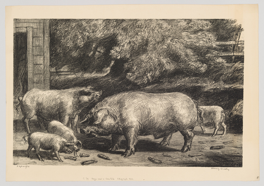 A detailed etching of three pigs and a piglet near a corn crib. The largest pig stands prominently in the foreground, while the others are positioned around it, with a rustic wooden structure and dense foliage in the background. The artwork is signed and dated in the lower right corner.