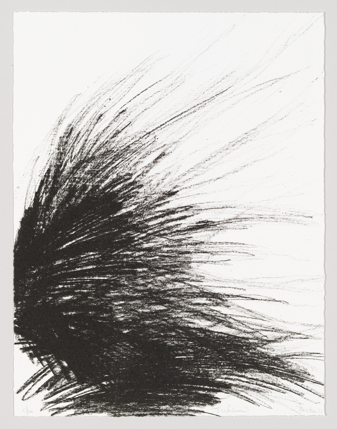 Abstract black and white etching with explosive, radiating lines emanating from a dense center.