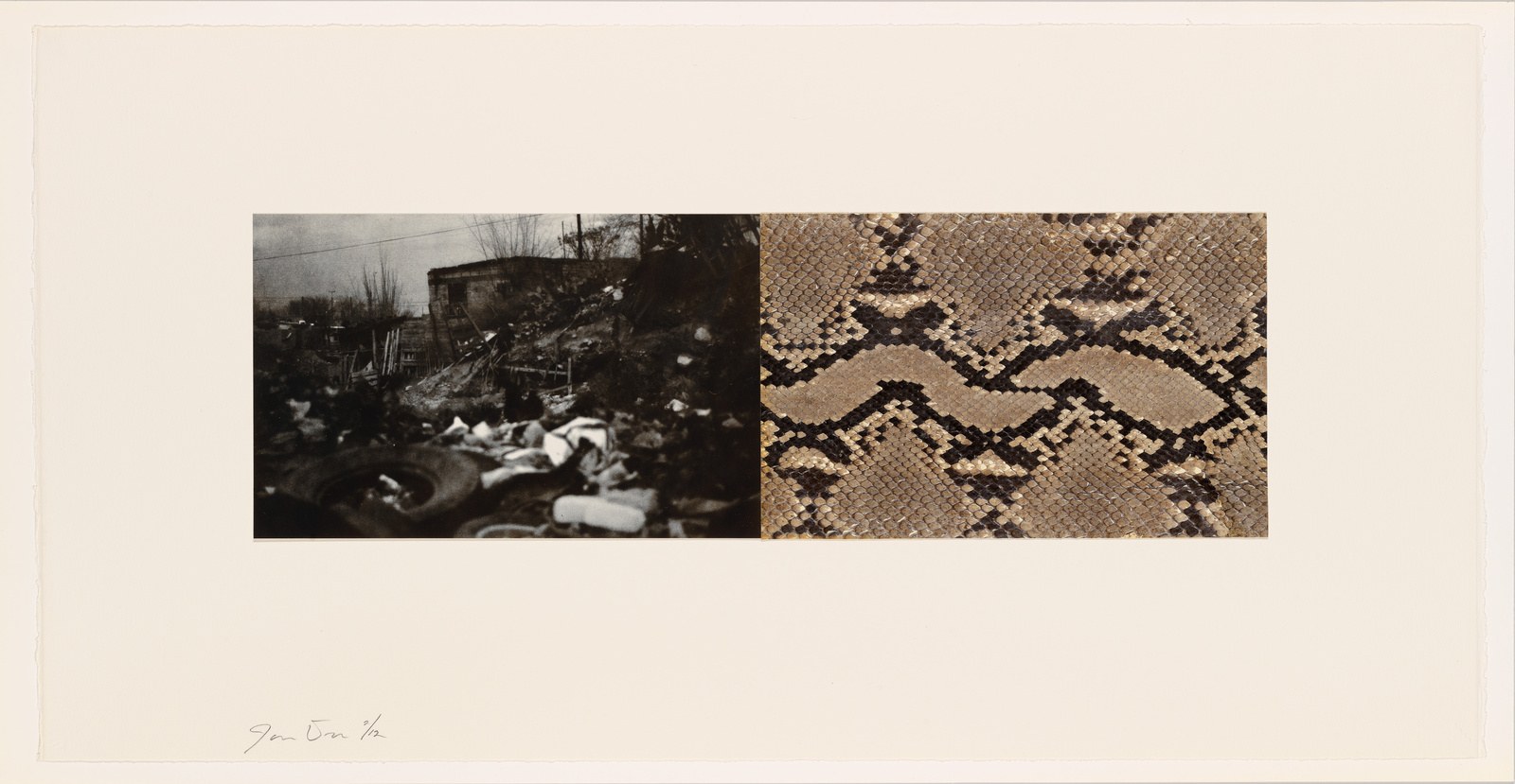 A photograph featuring two distinct sections; on the left, a black and white image of a cluttered, debris-filled outdoor area with a dilapidated structure in the background, and on the right, a close-up of a textured surface with a snake-skin pattern. The image is mounted on a white background with a signature on the bottom left corner.