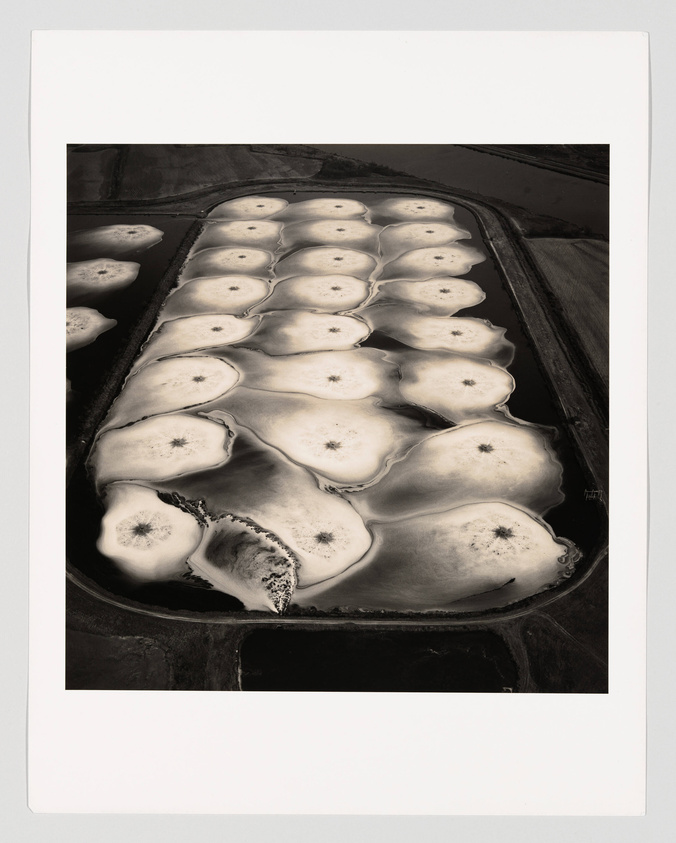 A black and white aerial photograph showing a series of irregularly shaped salt ponds surrounded by narrow pathways, with the textures and patterns resembling organic forms or cellular structures. The image is bordered by a white frame.