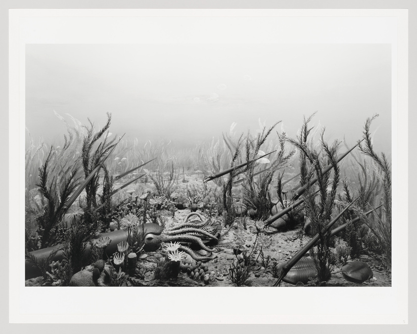 Monochrome underwater scene with starfish, sea plants, and scattered debris.