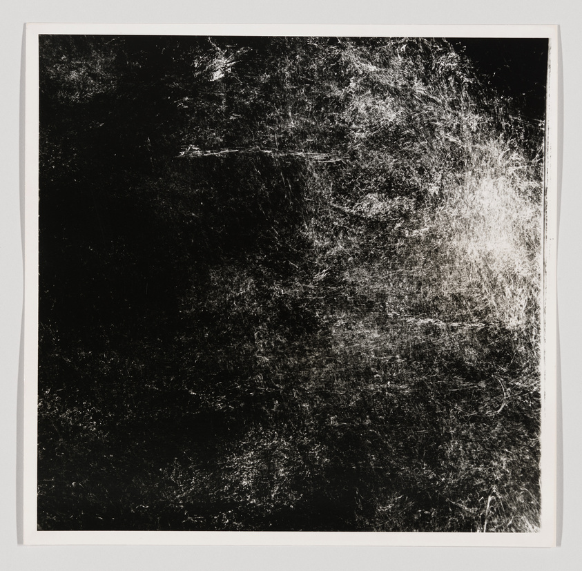 Black and white abstract photograph depicting a chaotic tangle of what appears to be branches or vegetation, with a dynamic interplay of light and shadow, creating a textured and dense composition. The image is framed with a white border.