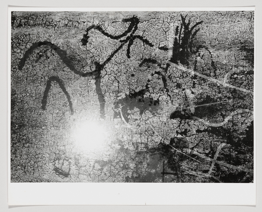A black and white abstract image featuring a textured surface with crackled patterns and dark, organic shapes that resemble branches or roots spreading across the frame. There is a bright, overexposed spot in the center that obscures some details.