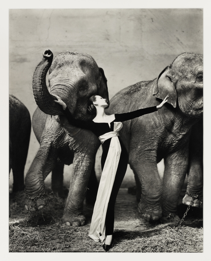 A black and white photograph featuring a woman in a stylish dress standing between two elephants. She is striking a dramatic pose with one arm extended and touching the trunk of the elephant on her right, which is playfully wrapped around her arm. The elephants appear calm and are standing close to the woman, creating a sense of interaction between the human and animals. The background is plain, emphasizing the subjects in the foreground.