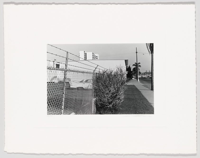 Black and white photograph depicting a street view with a chain-link fence topped with barbed wire on the left, a sidewalk leading into the distance on the right, and palm trees and a building in the background. The image has a rough border, indicating it may be a print.