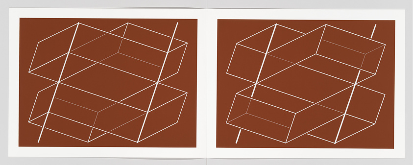 A digital artwork featuring two symmetrical panels with abstract geometric shapes. Each panel displays a series of interconnected white lines forming a three-dimensional cube-like structure against a solid brown background. The lines create an optical illusion of depth and perspective.