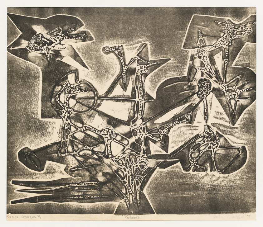 This is an abstract etching with a composition of interlocking and overlapping shapes that resemble marine life forms. The image has a textured appearance with a range of dark and light areas creating a sense of depth. The artwork is titled "Marine Images 8/7" and is signed by the artist "Cellocat."