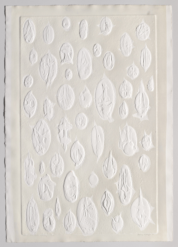 A textured artwork featuring a variety of raised, white botanical shapes, such as leaves and seeds, on a square, white canvas with a rough, uneven border.