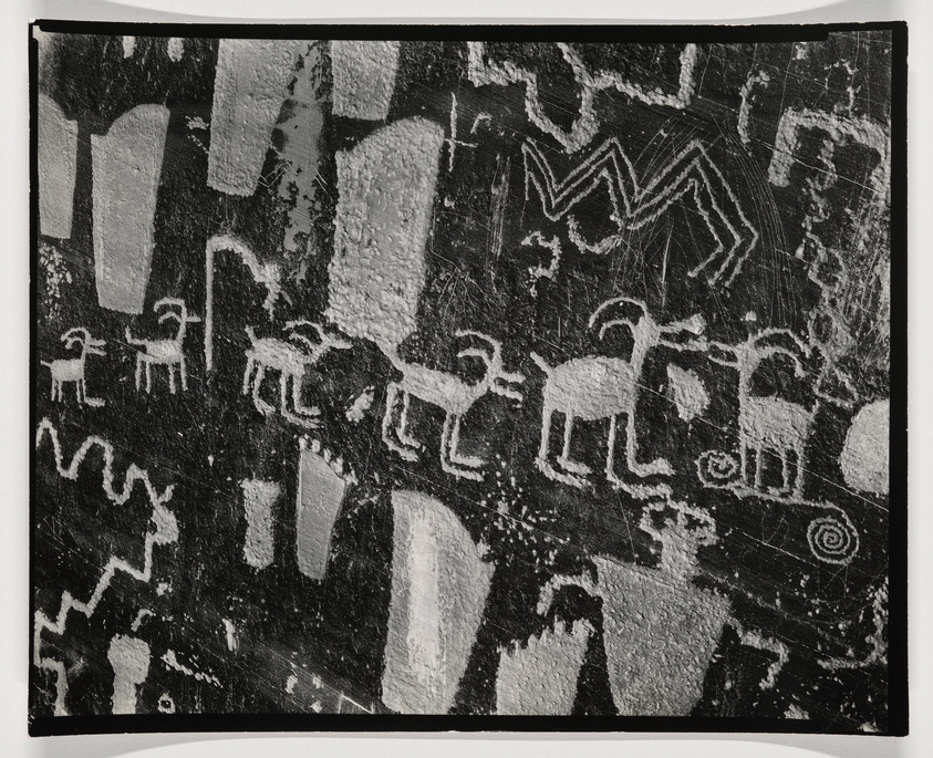 A black and white photograph of ancient rock art featuring a series of petroglyphs. The image shows various etched figures, including a procession of animals that resemble deer or elk, and abstract symbols such as spirals and zigzag patterns. The petroglyphs are set against a textured rock surface with visible weathering and scratches.