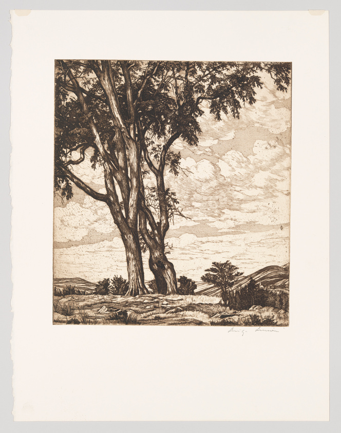 An etching of a pastoral scene featuring a large, detailed tree in the foreground with a backdrop of scattered clouds in the sky and rolling hills in the distance. The artwork is monochromatic and exhibits fine lines and shading to depict the textures of the tree bark and grass. There is a signature at the bottom right corner of the image.