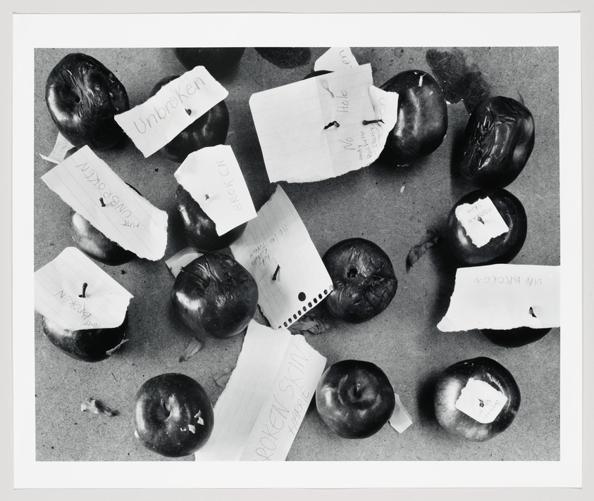 Black and white photograph showing several apples with pieces of paper pinned to them. The papers have words such as "Unbroken," "Help," and "Broken Spirit" handwritten on them. Some apples are whole while others are partially eaten or damaged. The background is a plain, light surface.