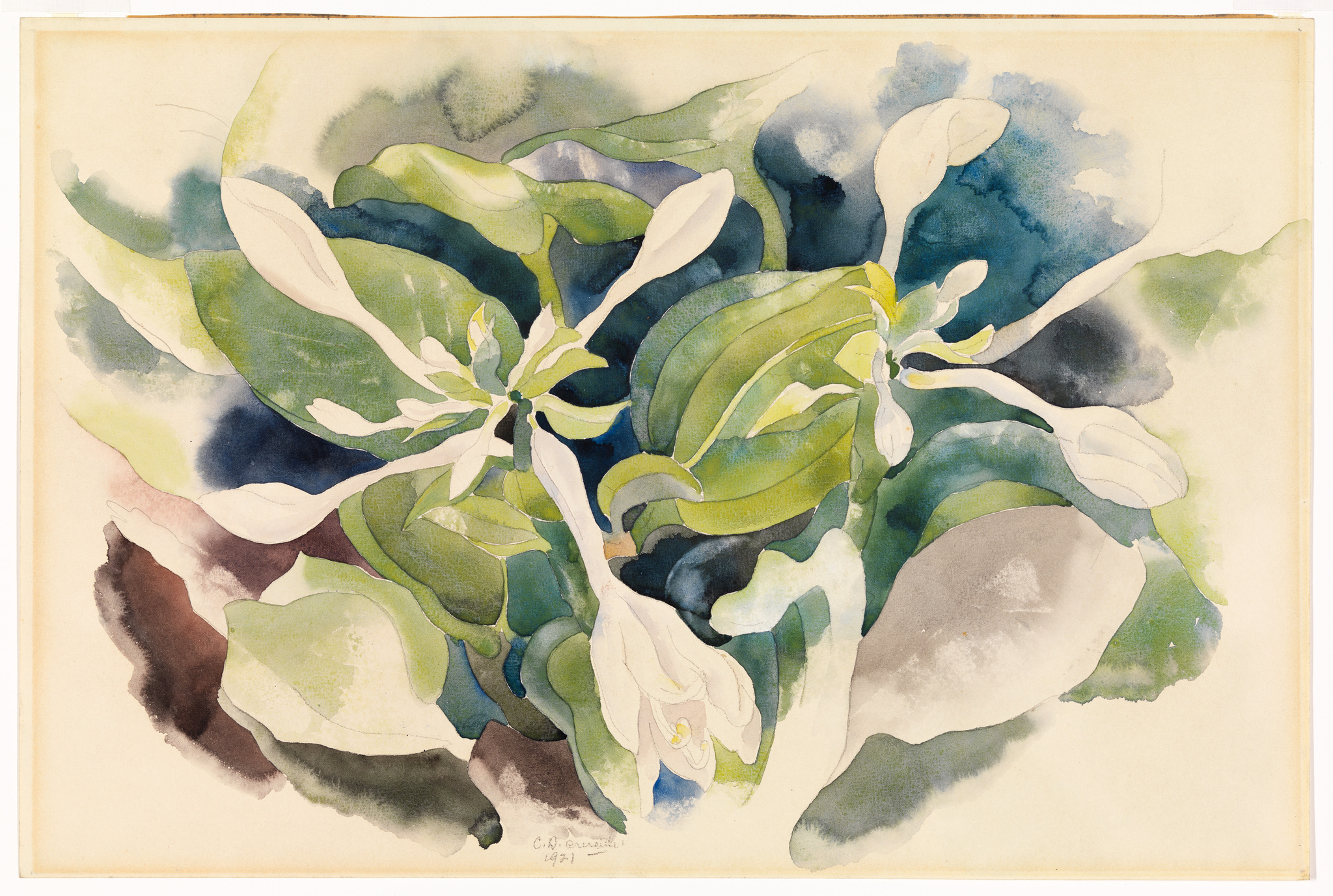 A watercolor painting of a lush magnolia plant with large green leaves and white blossoms, set against a background with shades of blue and brown, suggesting shadows and depth. The artist's signature and the year 1927 are visible in the lower left corner.