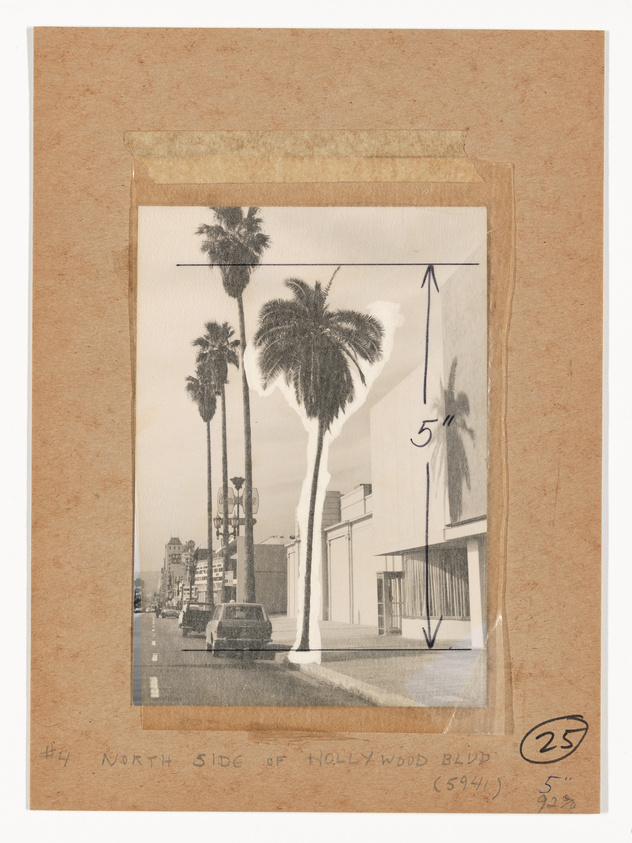 Vintage black and white photograph of the north side of Hollywood Boulevard with palm trees lining the street. The photo is mounted on a brown paper board with handwritten notes and arrows indicating measurements. There's a visible car and some architectural details of the buildings along the street. Handwritten text at the bottom identifies the location and there are numerical annotations on the right side of the board.