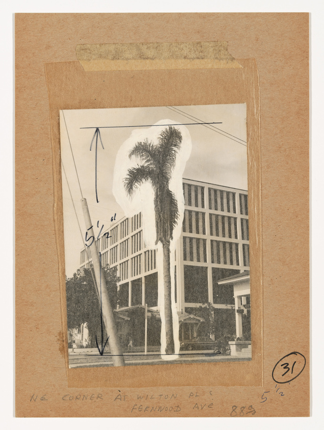 Vintage black and white photograph mounted on brown paper, depicting a tall palm tree in front of a mid-century modern style building with large windows and horizontal lines. Handwritten annotations and arrows on the photo suggest it is used for planning or analysis, with text at the bottom indicating "NE corner at Wilton Pl. & Fernwood Ave 888". There's a circular stamp with the number "31" on the bottom right corner of the mounting paper.