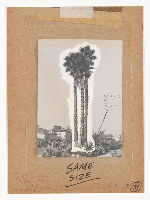 Vintage collage of a palm tree on a photo with handwritten notes and "SAME SIZE" text on a brown paper background.
