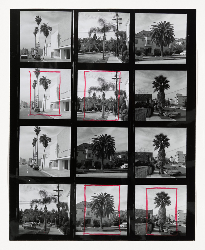 A black and white contact sheet featuring nine different photographs of urban scenes with palm trees. Three images are marked with red outlines, indicating selection for potential use or further consideration.