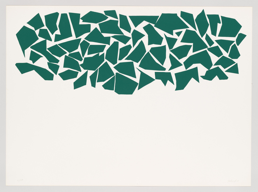 A collection of irregular dark green shapes arranged in a horizontal, cloud-like formation against a white background, resembling shards or fragments scattered across the surface.