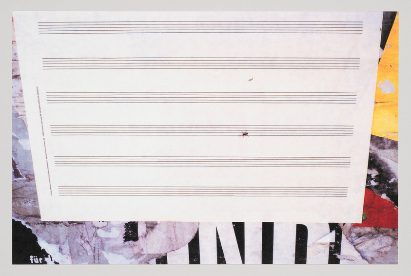 A piece of blank sheet music paper with several horizontal lines for musical notation is superimposed over a collage of torn posters and images, creating a juxtaposition of order and chaos. Two small insects are visible on the sheet music.