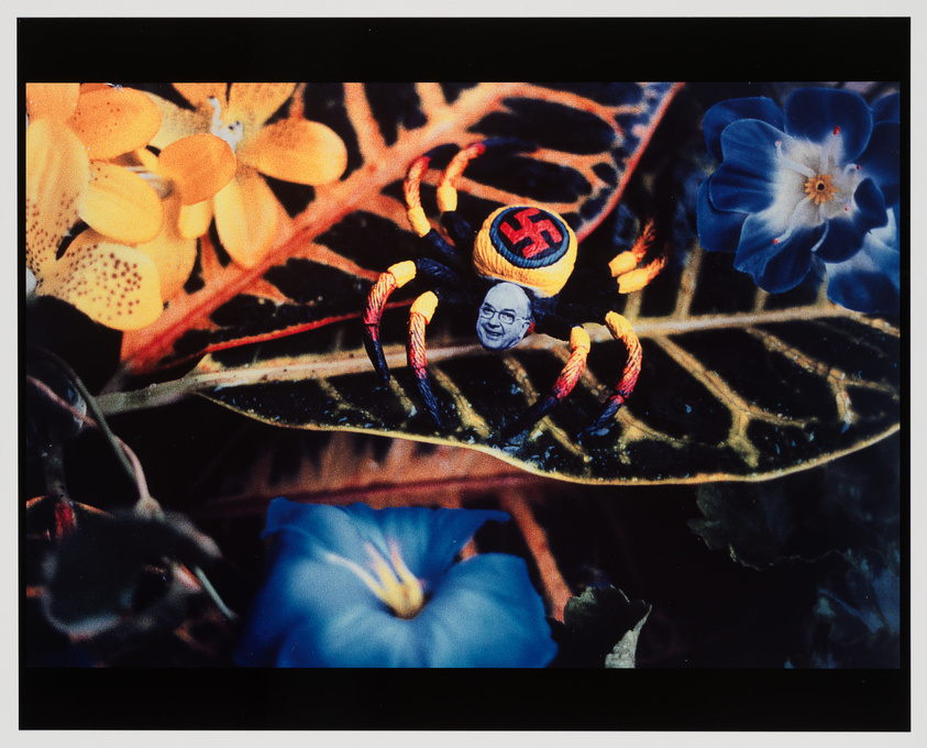 A surreal collage featuring a spider with a human face and a swastika on its back, surrounded by vibrant flowers.