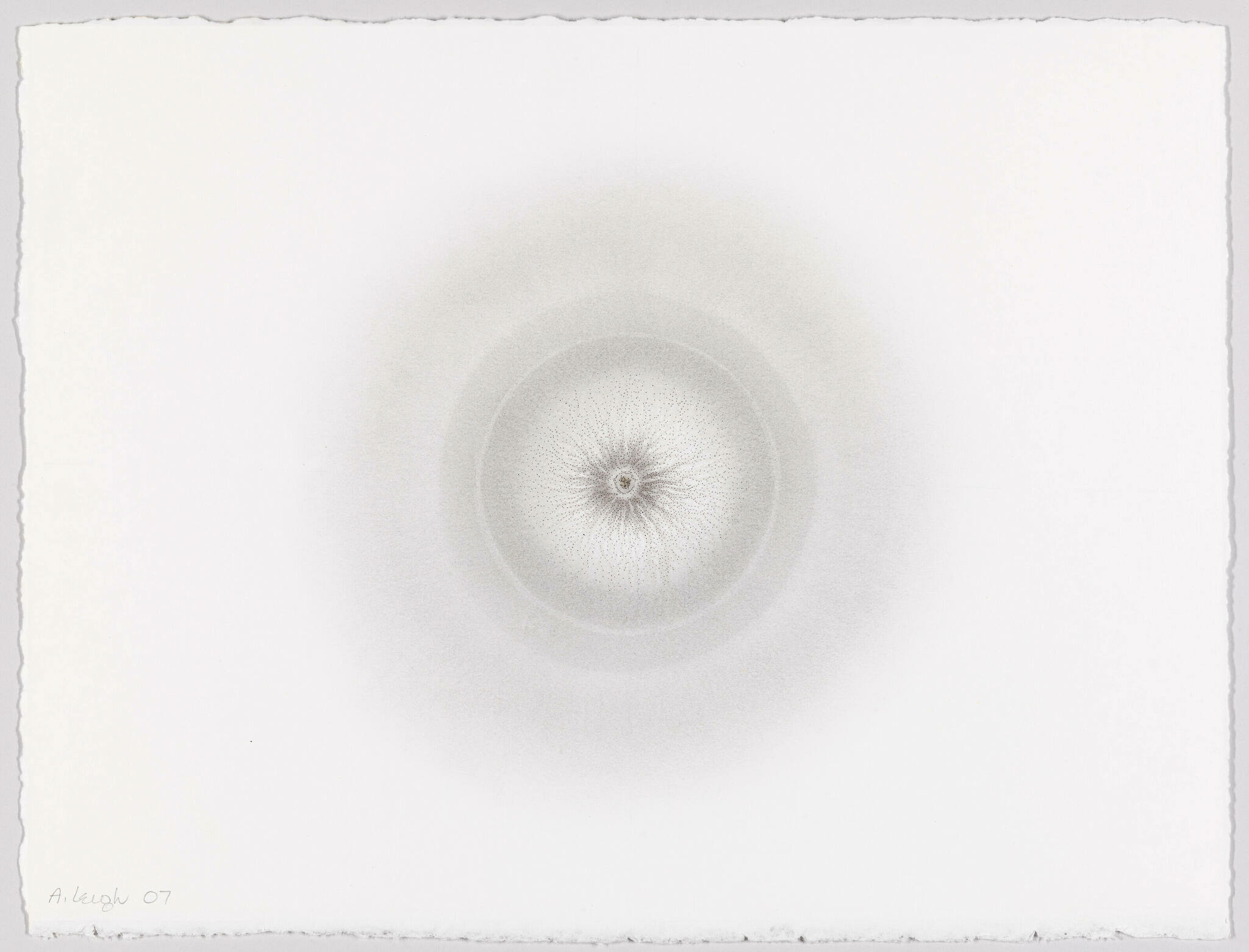 A grayscale abstract artwork featuring a concentric circular pattern with a detailed center, fading into the white paper background. The paper has rough edges, and there is a signature with the year '07 in the bottom left corner.