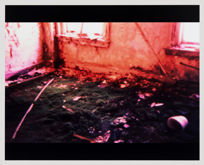 A dilapidated room with a moss-covered floor, debris scattered around, and sunlight filtering through broken windows, casting a reddish hue over the scene.