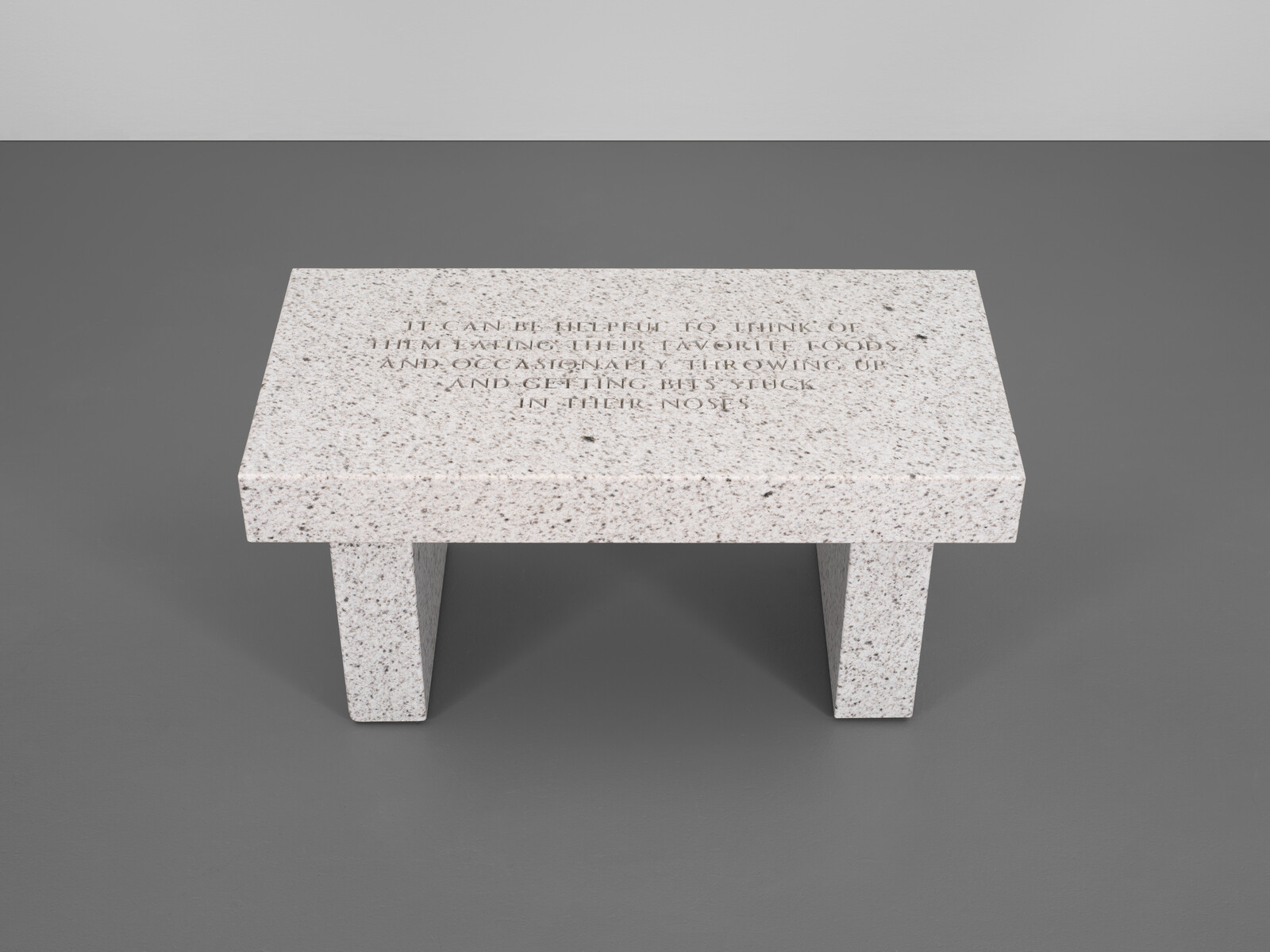 A rectangular stone bench with engraved text on top, placed on a plain gray floor.