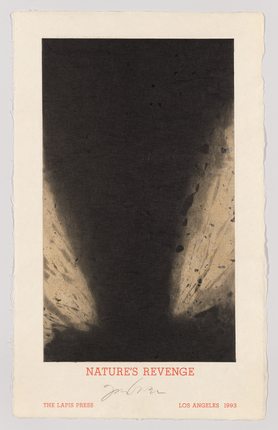 A print with a large, dark central area that fades into lighter shades at the bottom, resembling an abstract explosion or burst. The bottom of the print features the text "NATURE'S REVENGE" in red, followed by a signature, and the text "THE LAPIS PRESS LOS ANGELES 1993" in black. The paper has rough edges, suggesting it may be a fine art print or limited edition.