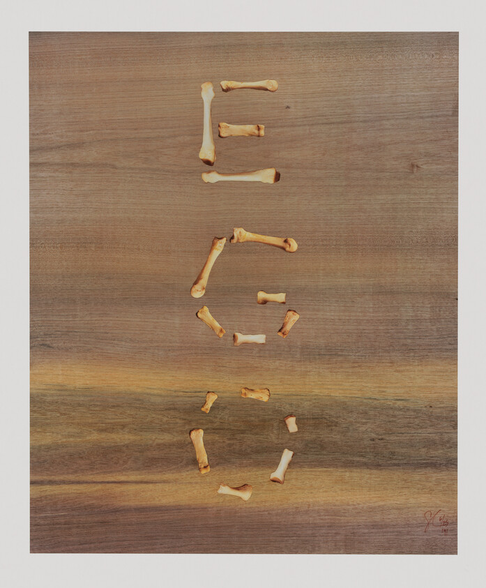 Small bones arranged on a wooden surface to spell out the word "EGO" vertically.