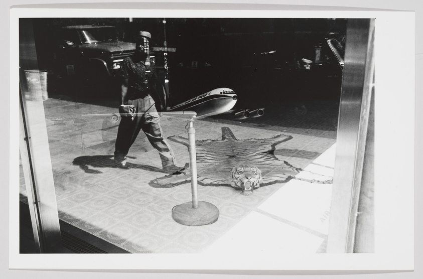 Black and white photograph showing the reflection of a man walking past a storefront window, with a model airplane and a tiger skin rug visible inside the display area. The scene includes a glimpse of a parked car and urban surroundings reflected in the glass.