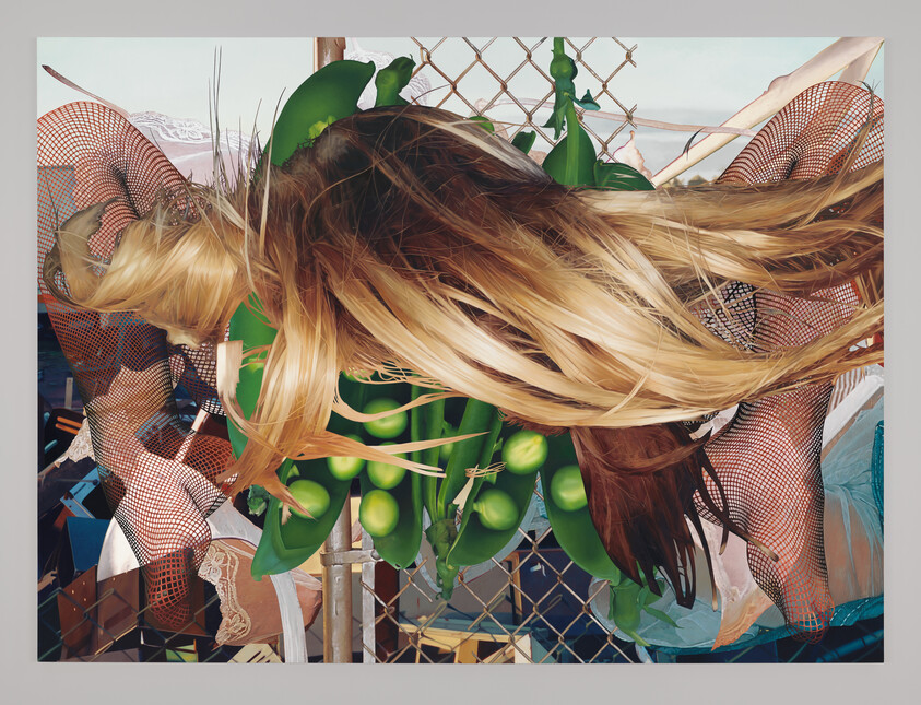 Long blonde hair and green pea pods are tangled in a wire fence, with netted fabric in the background.