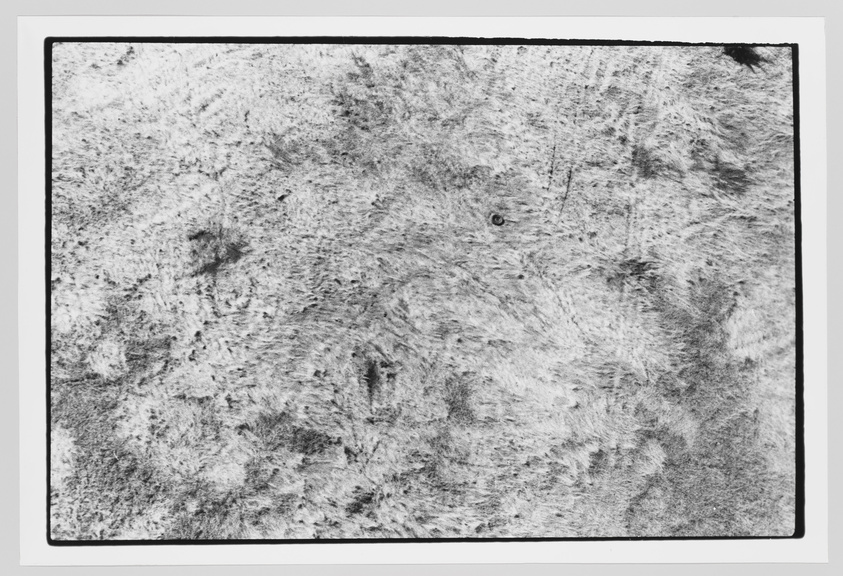 A black and white textured image that appears to show a close-up of a fibrous or grainy surface, framed by a thin black border. The specific details of the texture are indistinct, giving it an abstract quality.