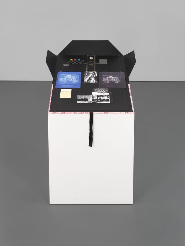 A white pedestal with a black, open-top box containing various items including photographs, papers, and small objects, displayed against a gray background.