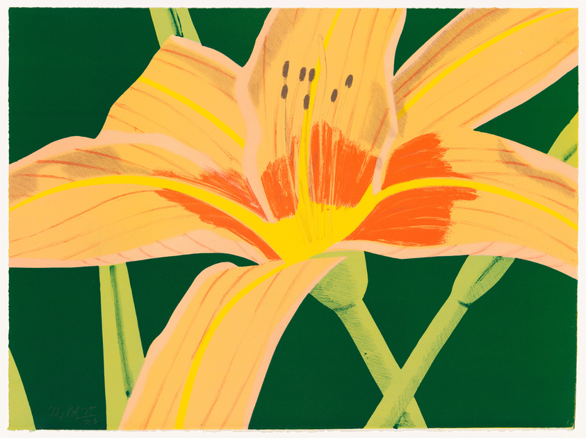 A vibrant illustration of a large, orange lily with yellow highlights and dark spots on its petals, set against a dark green background. The artwork has a stylized, almost abstract quality, with visible brush strokes and a signature in the bottom left corner.