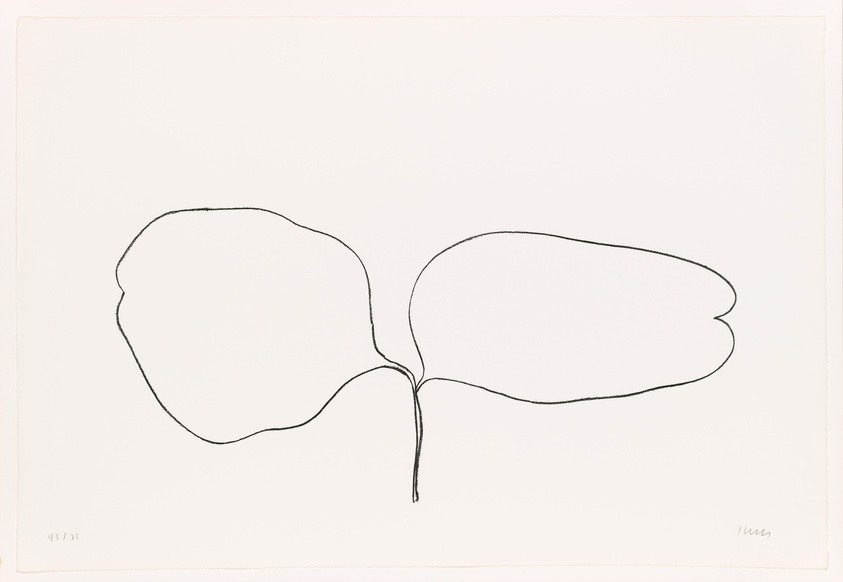 A minimalist line drawing of two leaves connected by a single stem on a plain background, with the artist's signature and a number on the bottom corners.