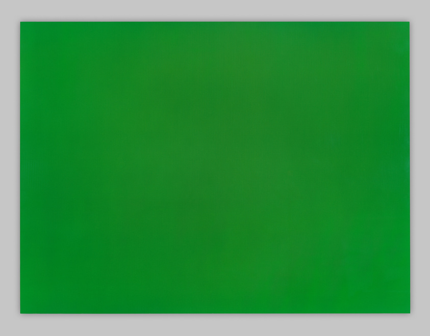 A plain green rectangular background with a smooth, uniform texture and no discernible features or variations in color.