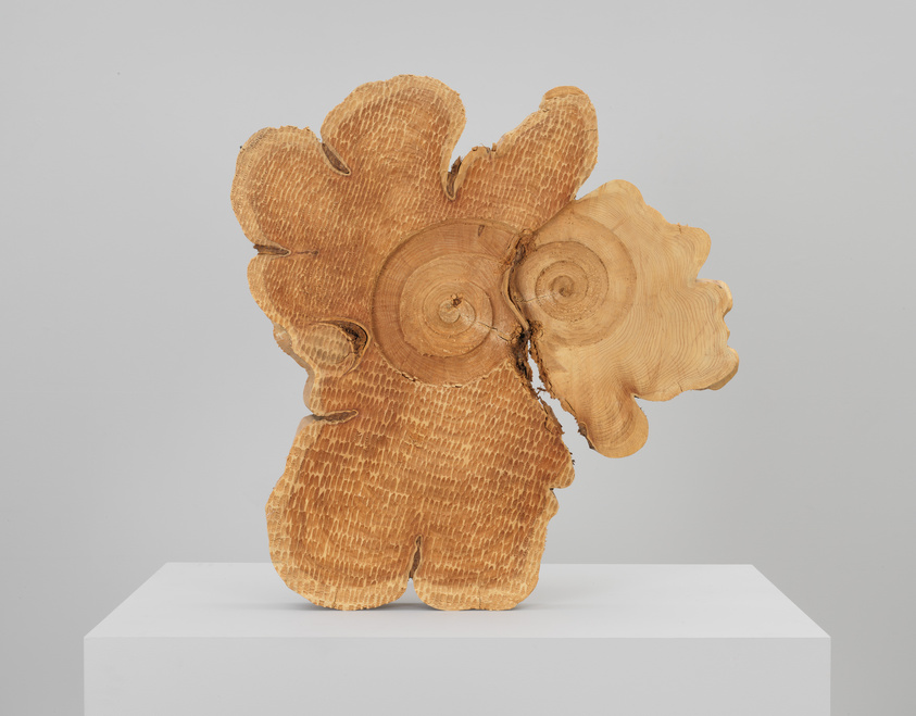 Wooden sculpture resembling a tree cross-section with intricate patterns, displayed on a white pedestal against a gray background.