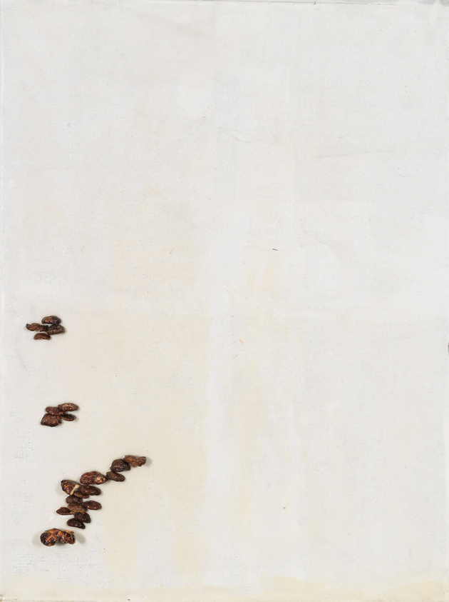 A vertical image showing a series of dark brown, irregularly shaped objects, which appear to be watermelon seeds, scattered in a trail towards the bottom left corner on a white background with subtle creases and textures.