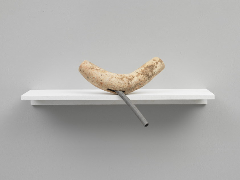 A banana impaled by a metal pipe on a white shelf against a grey wall.