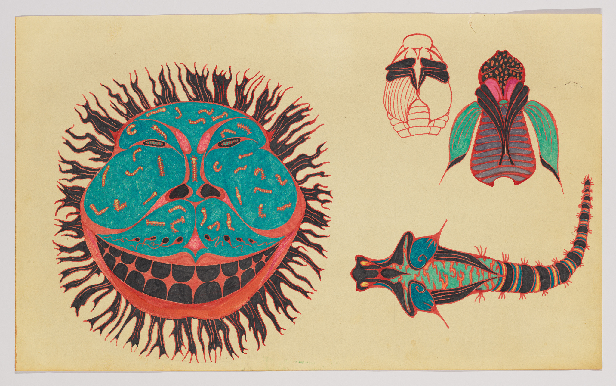 A vibrant illustration featuring four stylized, colorful creatures on a yellow background. The largest is a circular entity with a sun-like aura, decorated with teal and red patterns and a wide, toothy grin. To the right, there are two smaller creatures: one resembles a beetle with a segmented body and the other a moth with patterned wings and a bulbous body. Below, a lizard-like creature with a long tail and intricate blue and green patterns stretches across the page. The artwork has a whimsical and fantastical feel.
