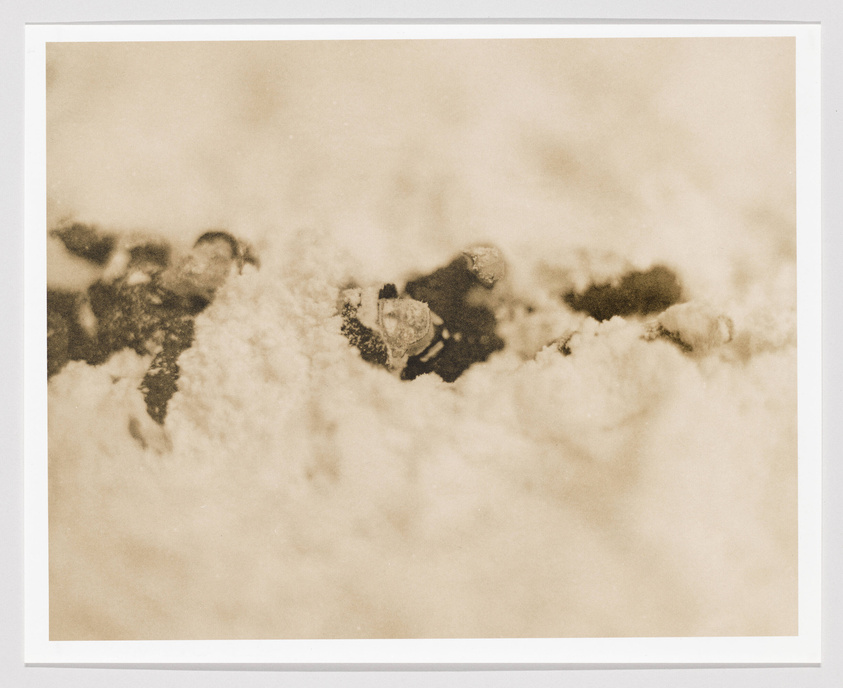Sepia-toned close-up photograph of a textured surface, possibly snow or a granular substance, with dark, indistinct shapes partially obscured by the texture.