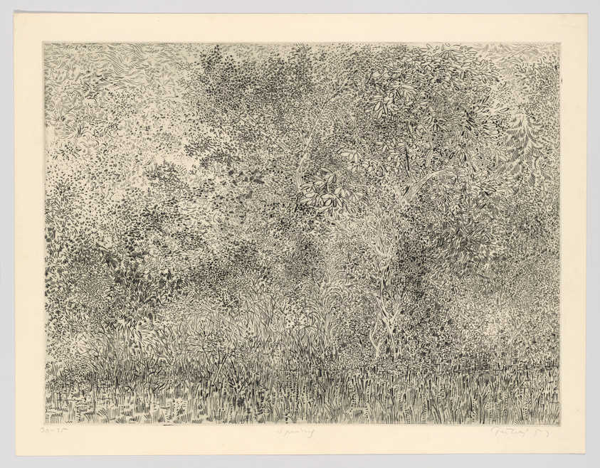 Detailed black and white etching of a dense forest scene with a variety of trees, foliage patterns, and textures. The artwork is highly detailed, with intricate leaf designs and stippling to create depth and contrast. The print is on off-white paper, and there are artist's signatures and edition numbers at the bottom.