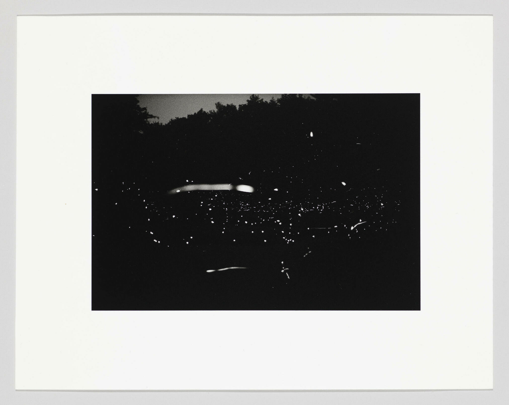 A black and white photograph capturing a night scene with numerous small light spots scattered across, resembling stars or fireflies, against a dark background with silhouettes of trees.