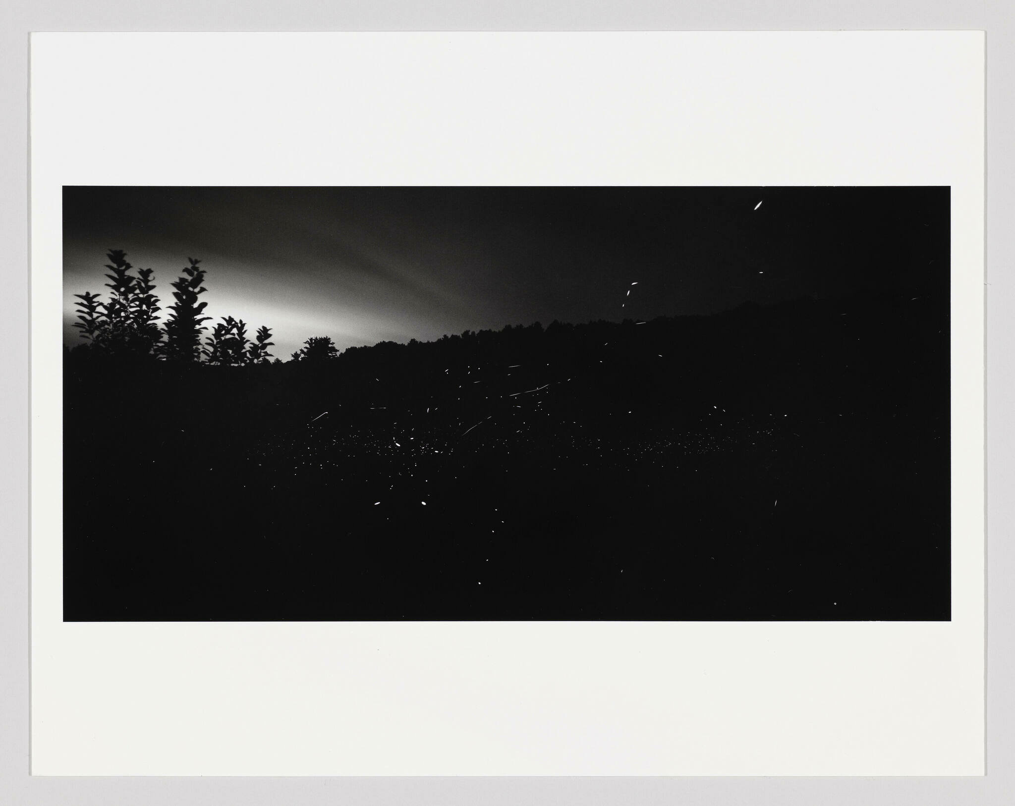 A black and white photograph capturing a night scene with silhouettes of trees against a dark sky, featuring numerous specks of light scattered across the frame, suggesting fireflies or stars. The horizon is faintly illuminated, providing a soft contrast to the surrounding darkness.