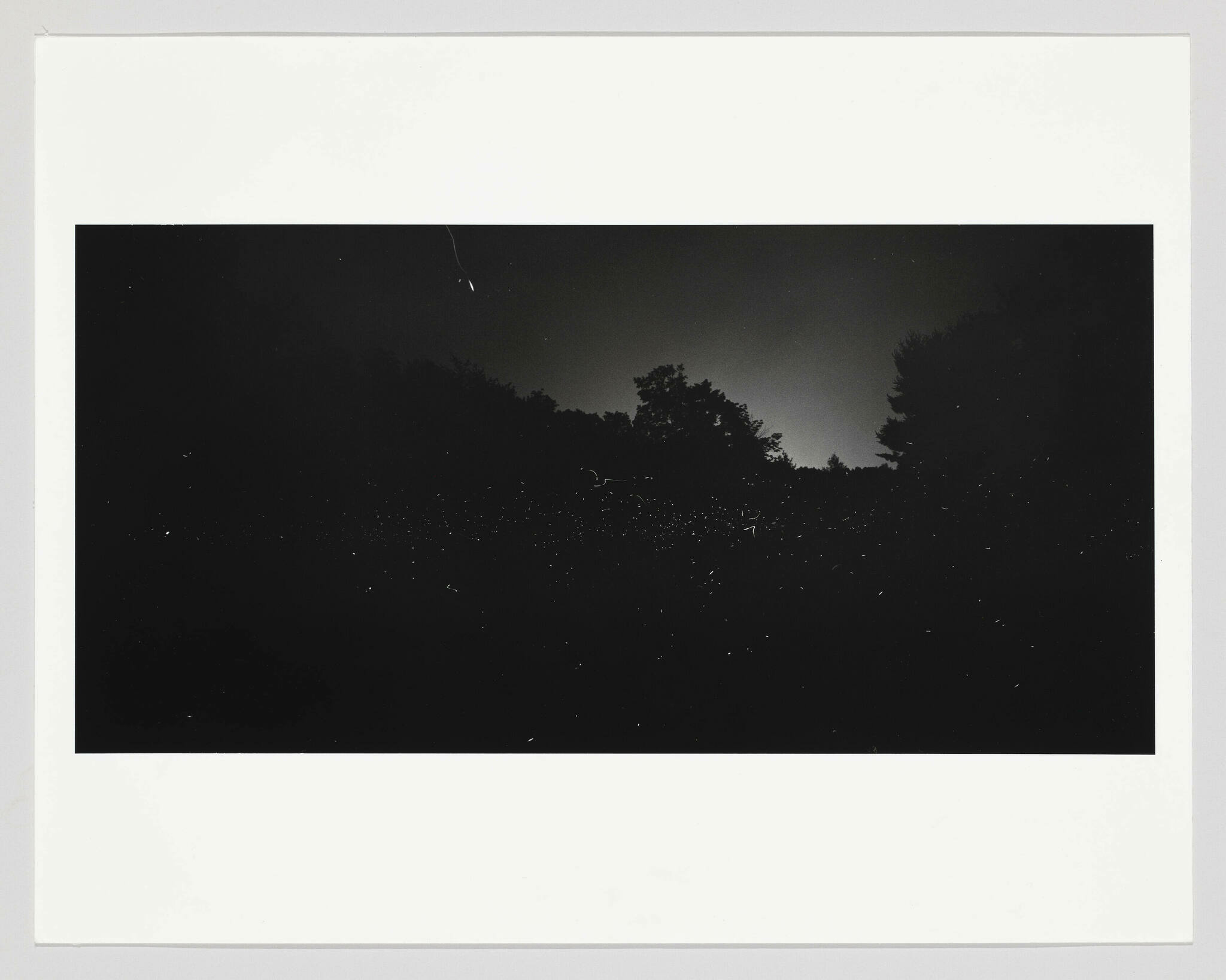 A black and white photograph capturing a night scene with numerous small light spots scattered across the frame, suggesting fireflies or stars, against a dark backdrop of silhouetted trees and a faintly illuminated sky.