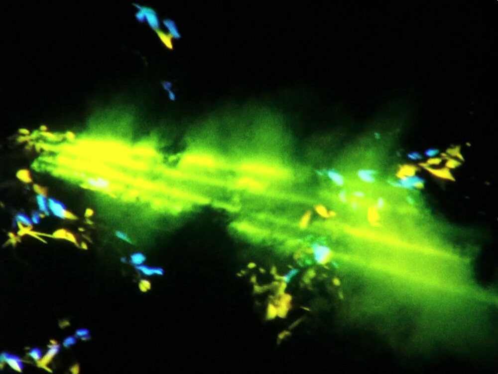 A blurry image showing bright green and yellow light streaks with specks of blue and orange, creating an abstract and somewhat ethereal visual effect.