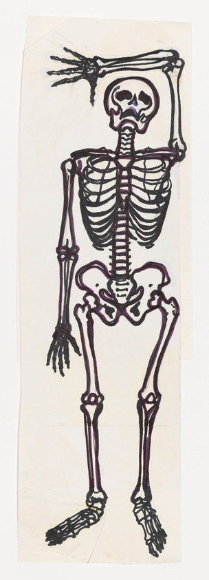 A hand-drawn illustration of a human skeleton on a piece of paper, with prominent black and purple outlines depicting the bones. The drawing includes the skull, spine, ribcage, pelvis, and limbs. The paper appears aged and has creases, suggesting it may be an older artwork.