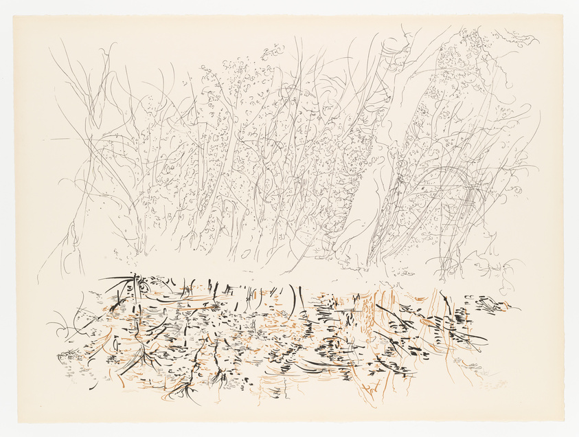 Abstract line drawing of vegetation with a dense cluster of lines at the bottom resembling a reflection on water.