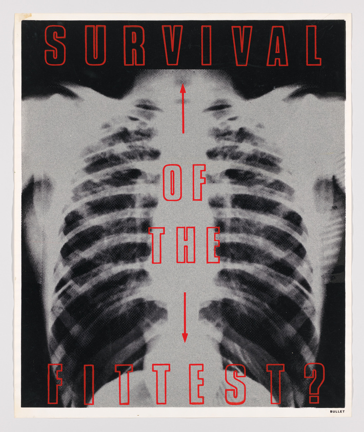 A graphic poster with the phrase "SURVIVAL OF THE FITTEST?" in bold red letters, superimposed on a mirrored image of a human chest X-ray. The words are arranged vertically with a red arrow pointing upwards between "SURVIVAL" and "OF THE," and another arrow pointing downwards between "OF THE" and "FITTEST?". The background is grainy, and the poster has a rough, textured appearance.