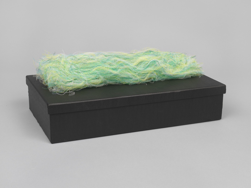 A textured, pastel green and yellow fibrous object resting on a black rectangular box against a neutral gray background.